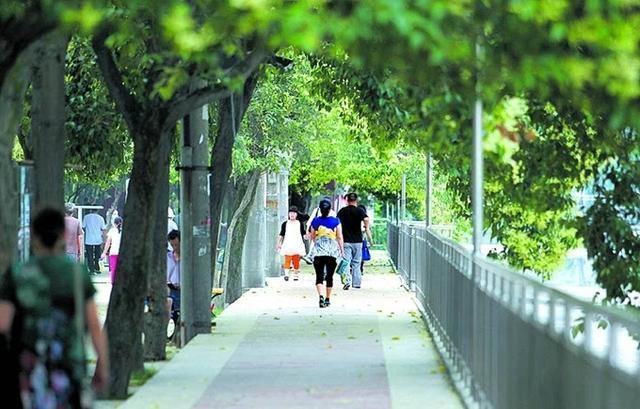 核桃这么油腻,糖尿病患者可以吃吗?医生是这么