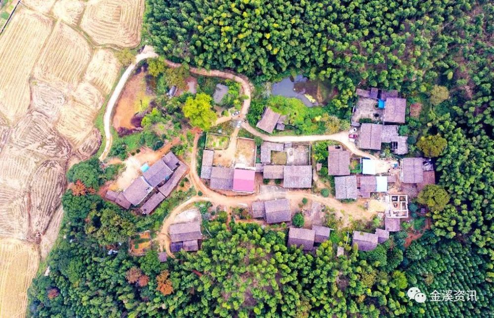 抚州金溪县何源镇孔坊村有多少人口