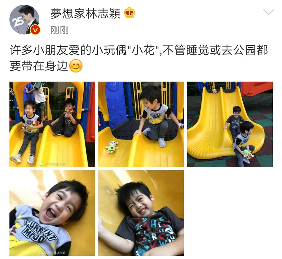 林志颖儿子笑容超治愈，双子星睡觉、溜滑梯都对“小花”爱不释手