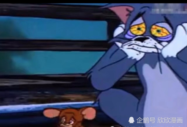 猫和老鼠:又是一部结局极度悲伤的动画,汤姆一心求死