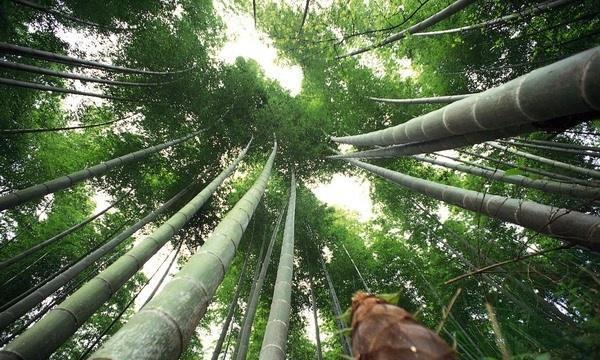 杨尘一翻手,取出最后一枚地元丹吞下,恶狠狠的喊道!