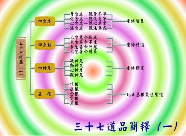 三十七道品中的八正道简释