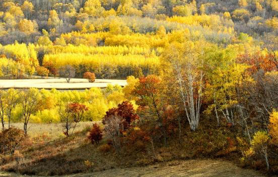 人品不好的女人,微信头像大多都是这样的,男人