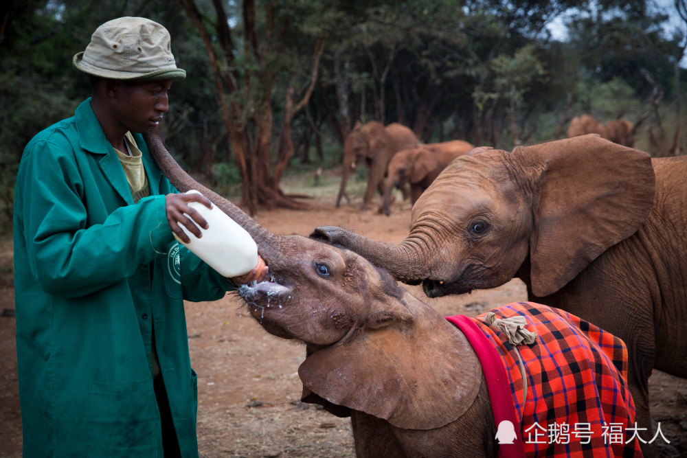 不买卖,无杀戮:在非洲旅行几年间,感受到了非洲