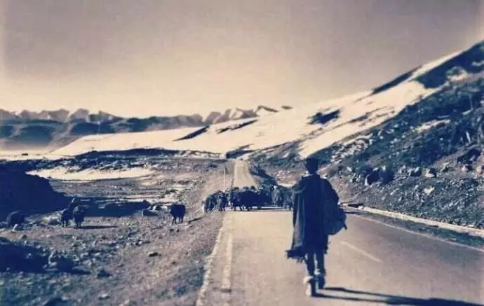 郑振煌先生:《西藏生死书》导读