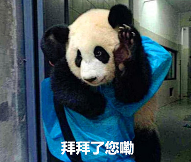 大熊猫贪玩不睡觉,饲养员一把甩到肩上 大熊猫:拜拜了您嘞