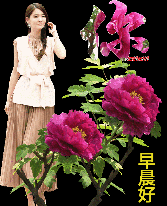 超级漂亮早上好问候语祝福图片带字,最美早安祝福语