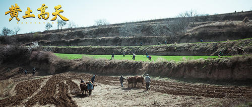 观众掀起“回忆热” 从《黄土高天》回顾农村改革路