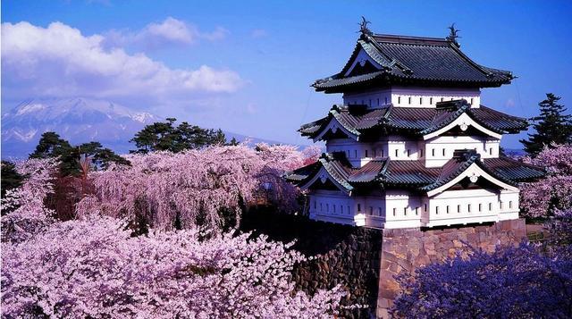 日本独特的趣味比赛,用光头来拔河,口号是让光