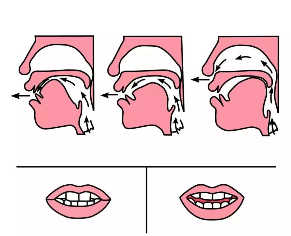 小学一年级前后鼻音发音技巧 (附:平翘舌音 前后鼻音)