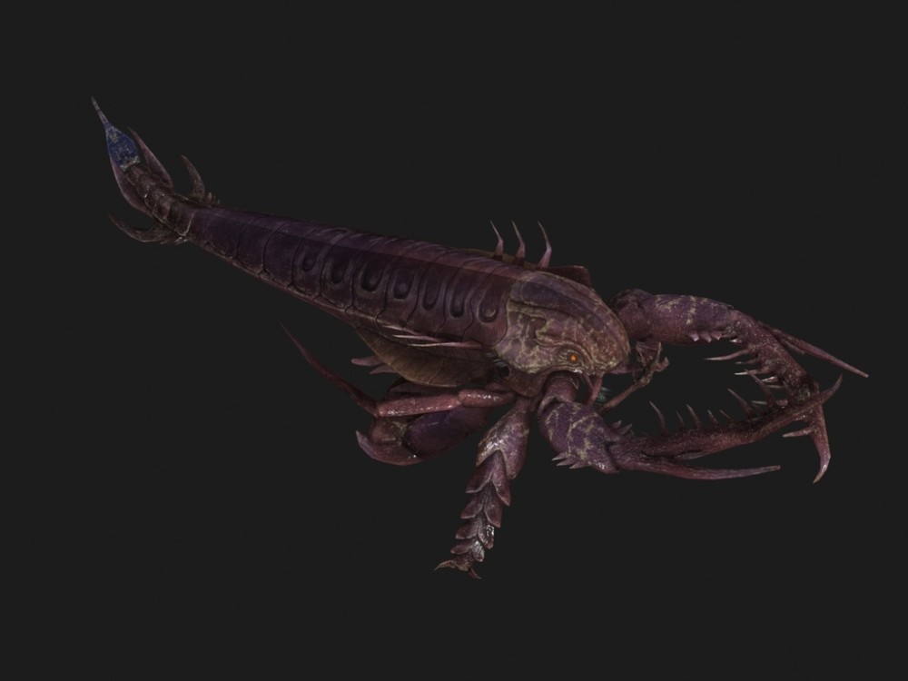 因为它们那时候生活在海里,所以科学家把它们叫做"海蝎子"
