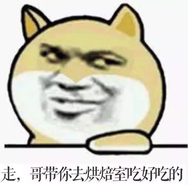 各种大学专业特色表情包来袭!