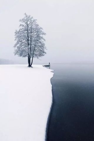 640