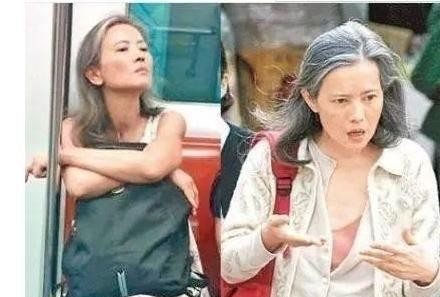 蓝洁瑛姐姐已安排见最后一面,洁瑛去世:桃花过处,寸草