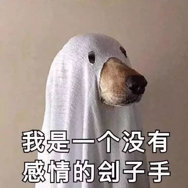 【宠物】宠物搞笑表情包,怂成一团