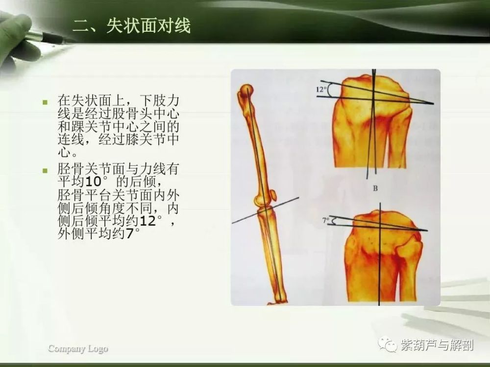 【体态评估】下肢生物力线检测及其临床意义