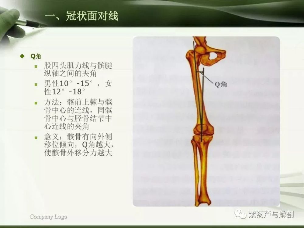 【体态评估】下肢生物力线检测及其临床意义