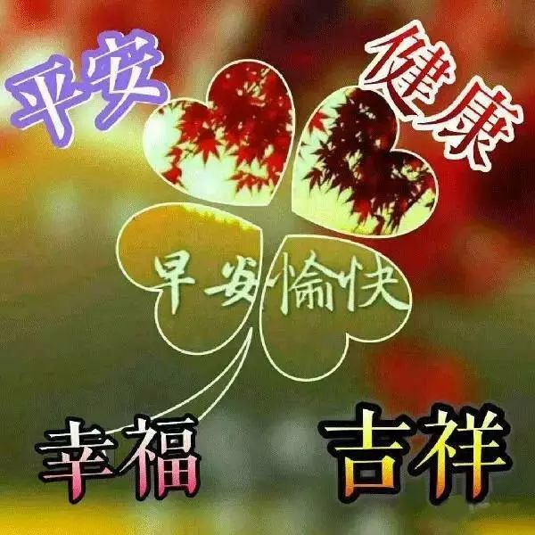 大年初十喜庆的早上好祝福语图片带字浪漫虎年最新带鲜花的早安吉祥