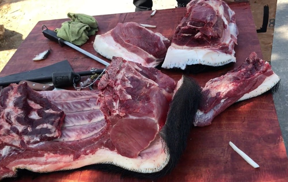 实拍男子在路边卖野猪肉,20元1斤,这是不是真的野猪肉