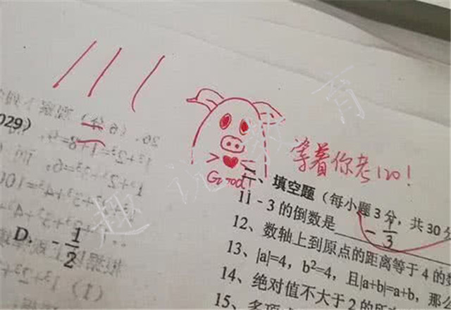 期中考试卷走红网络,老师评语是亮点,网友:又是