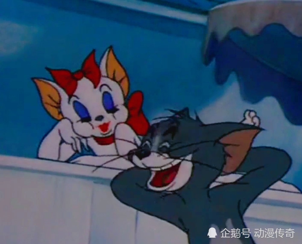 猫和老鼠:汤姆看上的仙女猫们,个个都是大美女