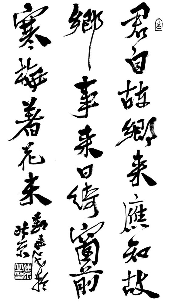 来日 腾讯网