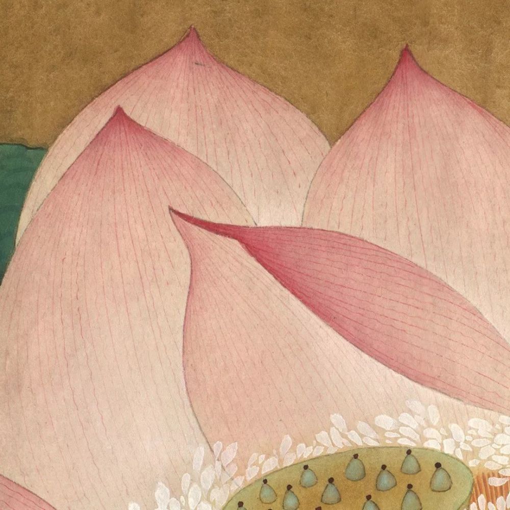 高清局部图《出水芙蓉图》中,背景单调,一朵盛开的粉红色荷花占据