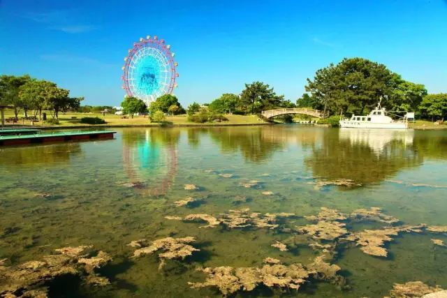 日本福冈有哪些好吃好玩的?看看当地人是怎么