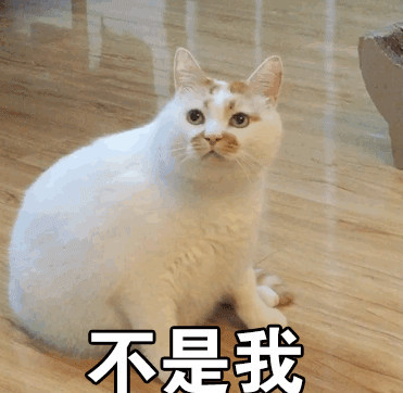 渣男猫咪:励志超多可爱真相特点?拥有图片的有字的图片表情+搞笑+知道+唯美大全图片