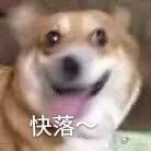 生图最能打的综艺有点萌：看赖美云于小彤学游泳笑出猪叫