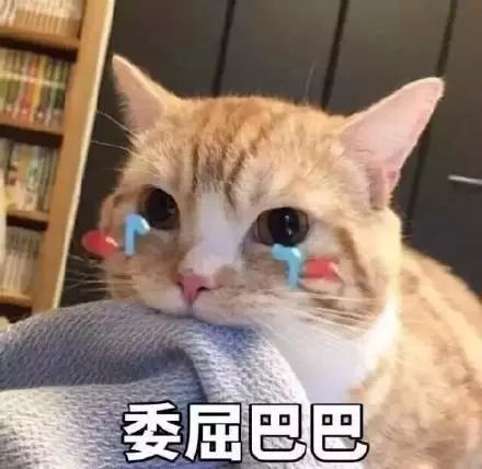 表情包委屈的哭哭表情包