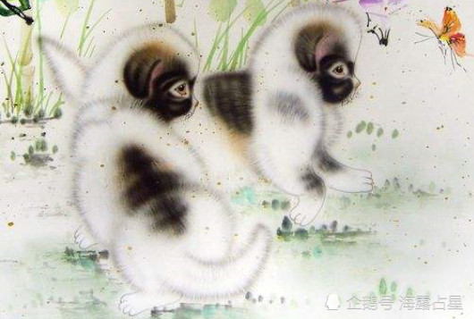 老婆生于这4年，命理财运旺盛，旺夫益子，富贵三代人