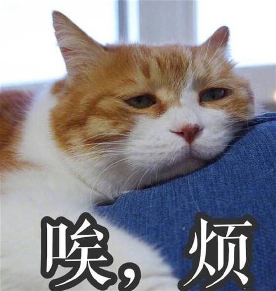 橘猫为什么这么胖?这大概是最难回答的问题了.橘猫:唉,烦