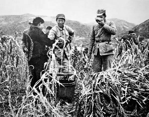 重整河山二十天之延安篇:放弃军队和解放区不