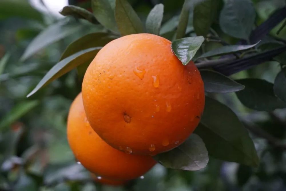 武鸣县gdp_武鸣县收费站入口图片(3)