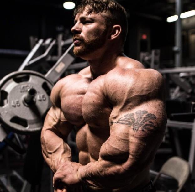 弗莱克斯刘易斯 flex lewis