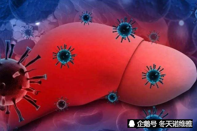 乙肝携带者,若身上出现"小红点","癌细胞"可能在慢慢