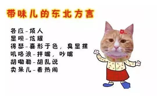 你一定会一口流利的东北话,说着说着就变成东北普通话3如果你是伊图里
