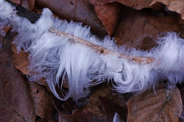 2018年有待解释的20个奇怪现象,头发冰有没有