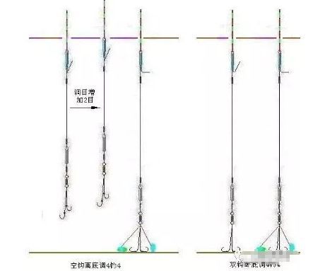 钓甲鱼用直针钓是什么原理_甲鱼鞭是什么样子的