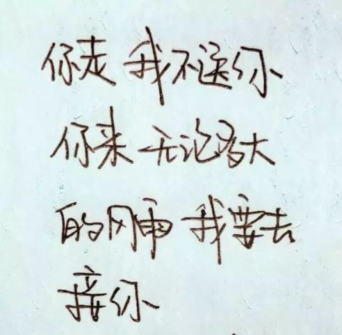 成语孤什么句_什么斟句酌的成语(2)