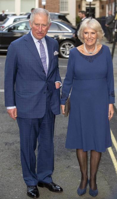 71岁卡米拉穿墨蓝色裙仍是A4腰!外媒回顾查尔