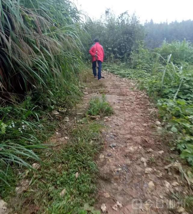 一男子主动自首 却从行政拘留转为刑事拘留?