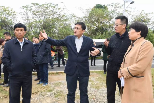 高淳经济总量_高淳国际慢城图片(3)