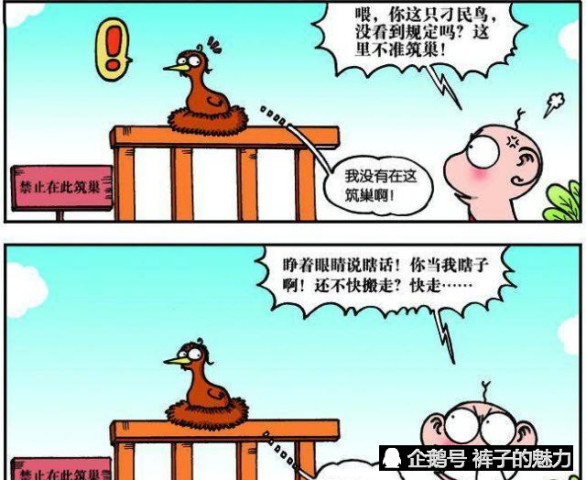 爆笑校园,白天鹅的"防弹衣"有点意思!"笨鸟先飞"是个