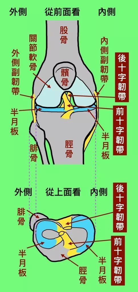 运动中膝关节反复扭伤?当心膝关节十字韧带损伤