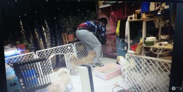 沈阳小伙租房却莫名被贷款 曾被黑中介收走银