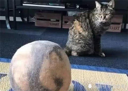 640