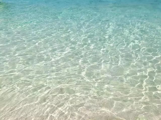 魅族16X体验:3倍无损变焦黑科技加持,真口袋相