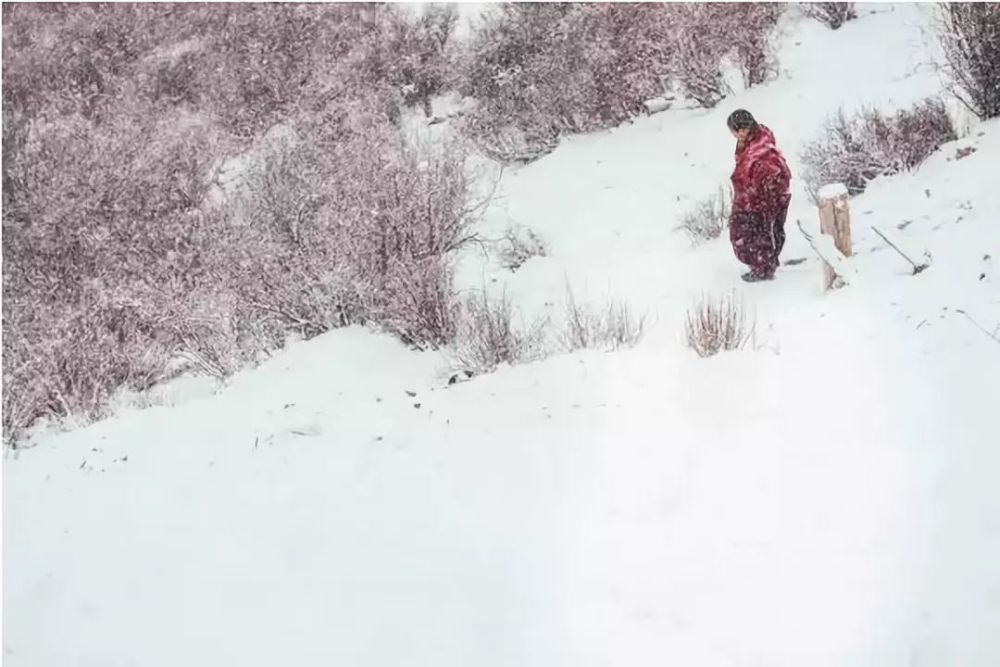 大雪纷飞,他们依旧用身体丈量信仰